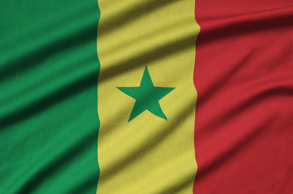 The flag of the champions Senegal